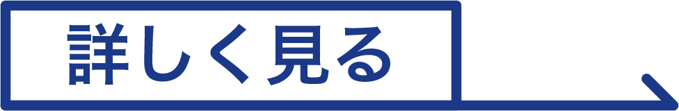 詳しく見る
