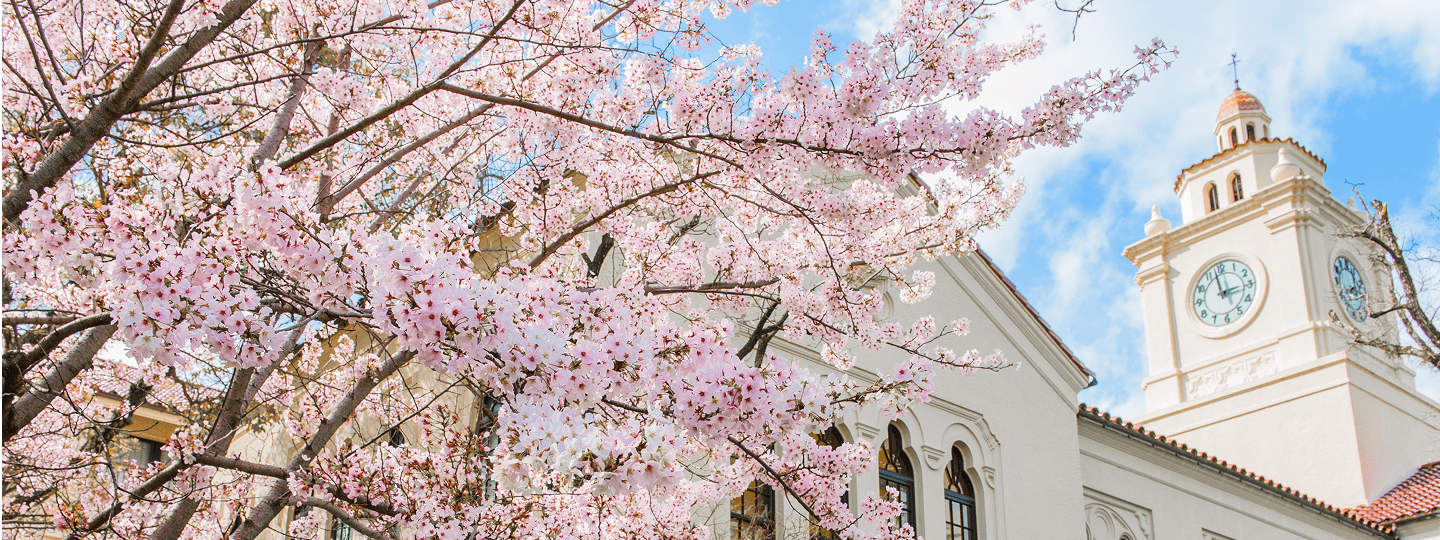 プログラム一覧