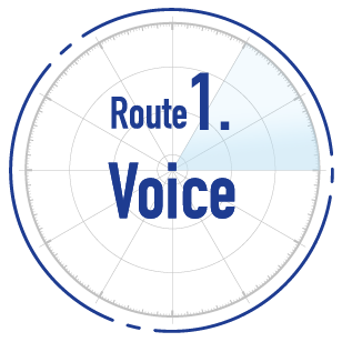 Route 1. Voice